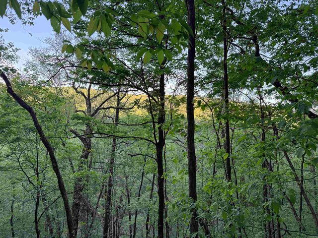 000 Jenkins Road, Clinton, AR 72031