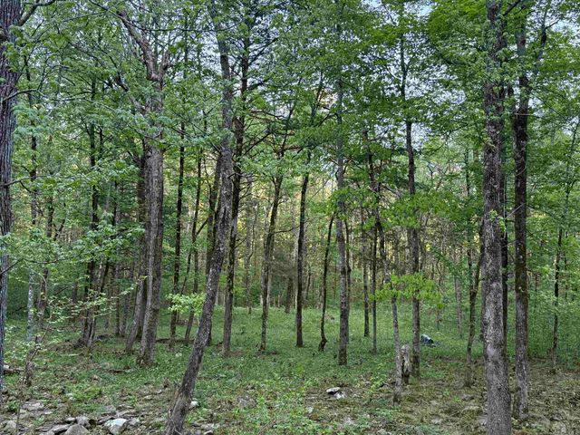 000 Jenkins Road, Clinton, AR 72031