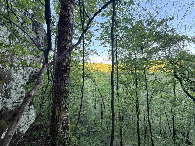 000 Jenkins Road, Clinton, AR 72031