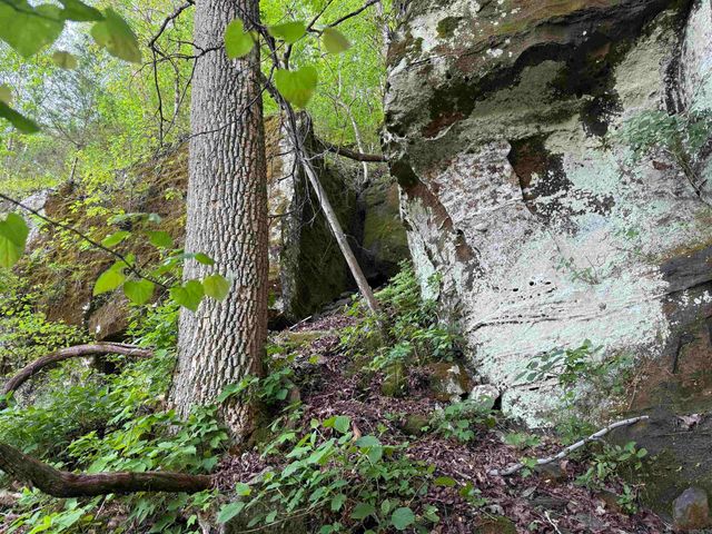 000 Jenkins Road, Clinton, AR 72031