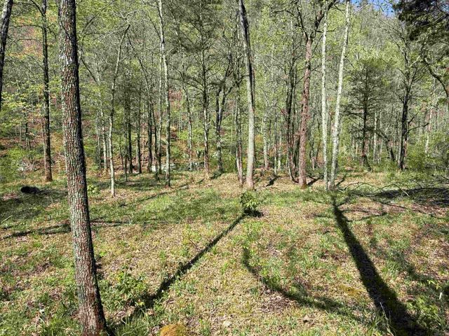 000 Jenkins Road, Clinton, AR 72031