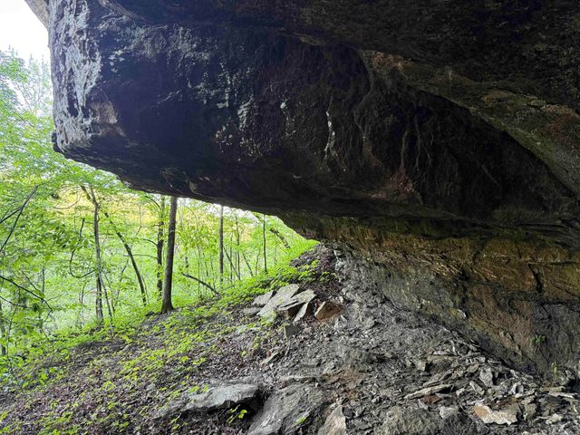 000 Jenkins Road, Clinton, AR 72031