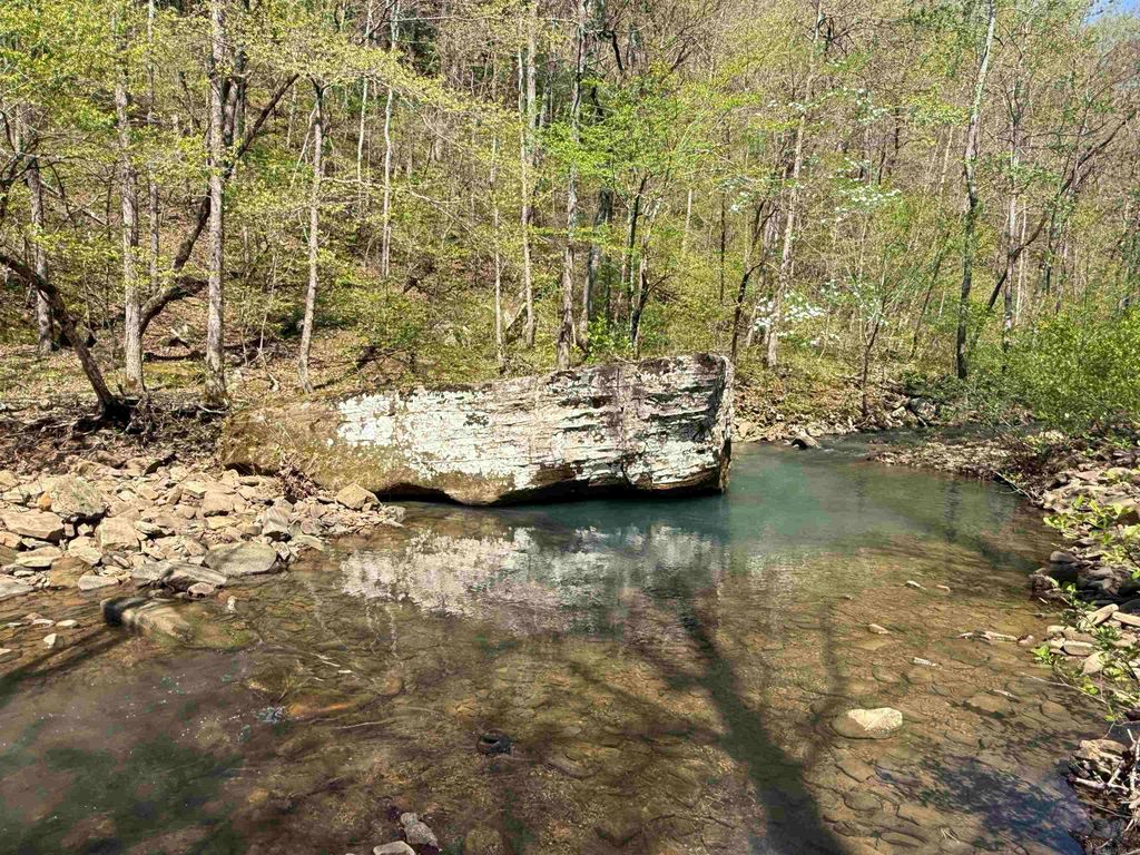 000 Jenkins Road, Clinton, AR 72031