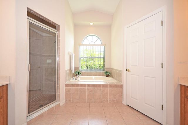 423 CORVINA DRIVE, Davenport, FL 33897