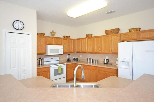 423 CORVINA DRIVE, Davenport, FL 33897