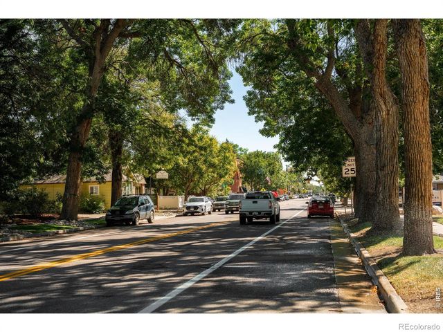 353 Mount Rainier Street, Berthoud, CO 80513