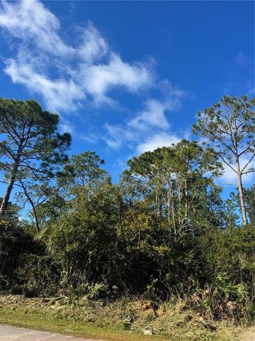 50 WHEELING LANE, Palm Coast, FL 32164