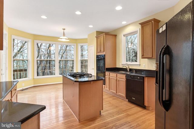 21321 SMALL BRANCH PL, Broadlands, VA 20148