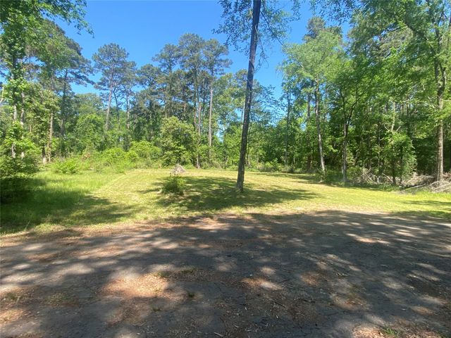 TR 29 Oak Pine Drive, Livingston, TX 77351