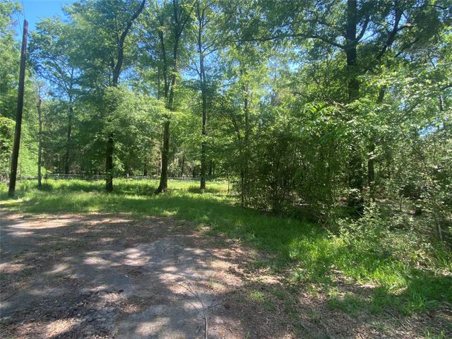 TR 29 Oak Pine Drive, Livingston, TX 77351