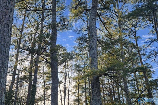 3705 Penny Street, Huntsville, AL 35805