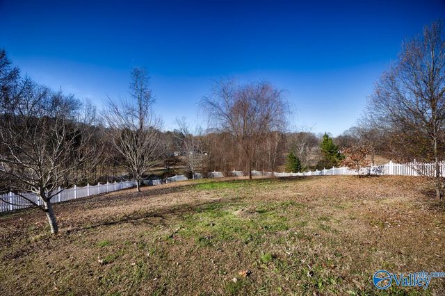 411 N Seneca Drive, Trinity, AL 35673