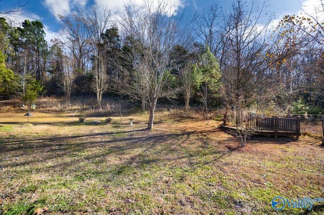 411 N Seneca Drive, Trinity, AL 35673