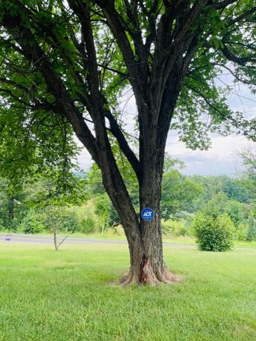1035 Oyler RD, Hardy, VA 24101