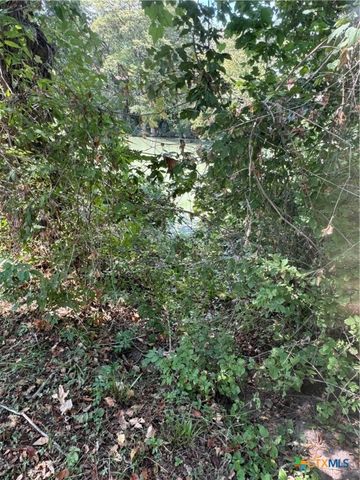 380 Guadalupe River Drive, Seguin, TX 78155