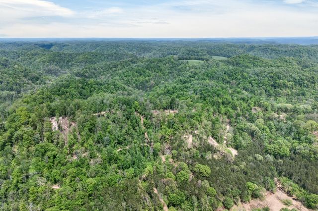 360 Long Hollow Ln, Gainesboro, TN 38562
