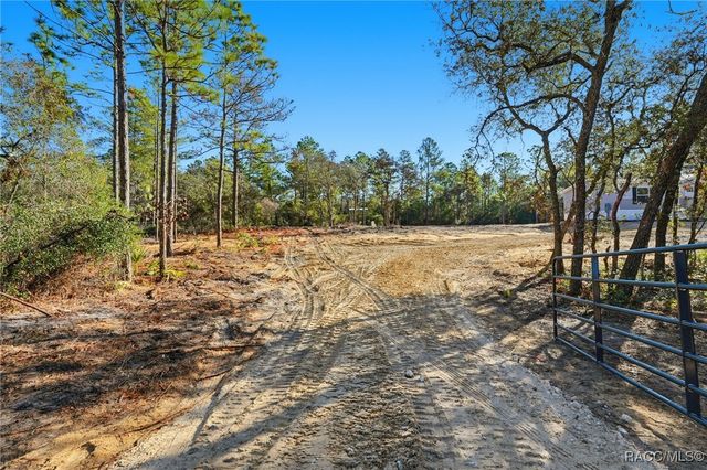 6653 N Zircon Point, Dunnellon, FL 34433