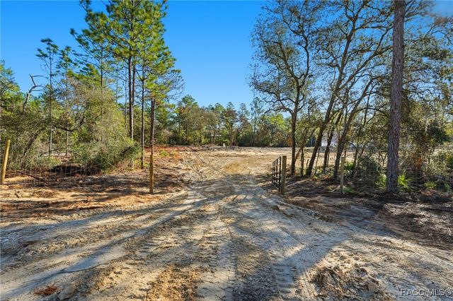 6653 N Zircon Point, Dunnellon, FL 34433