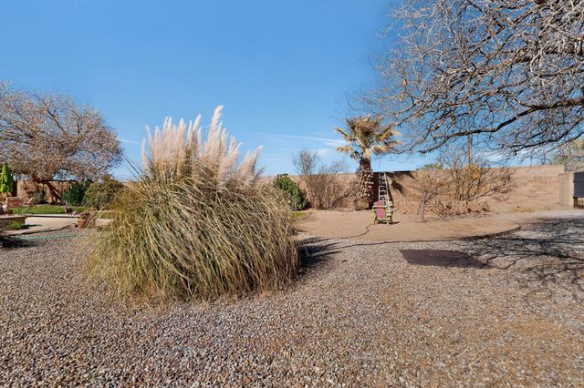 287 Bazan Loop NW, Corrales, NM 87048