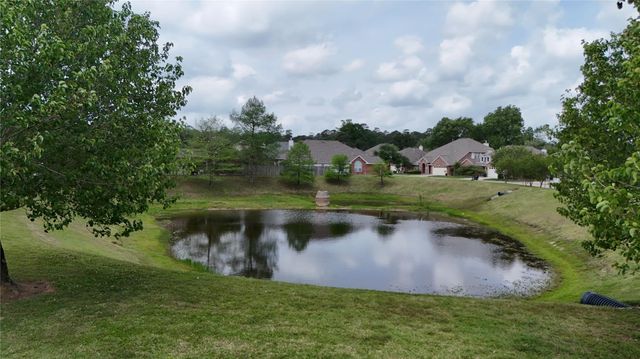 15234 Scenic Forest Drive, Conroe, TX 77384