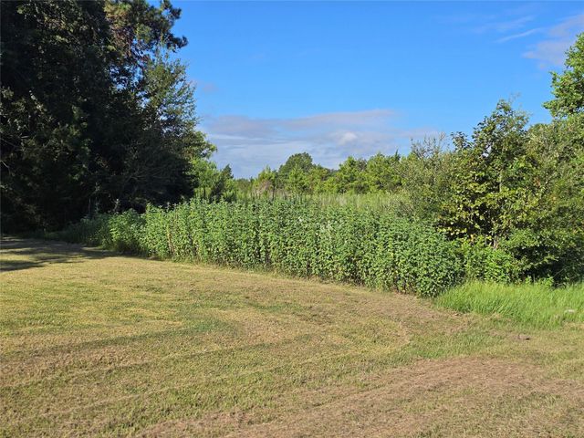 Lot 9 Lewis Creek Circle, Willis, TX 77318