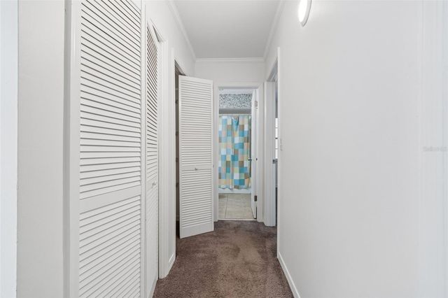 10314 CARROLLWOOD COURT 56, Tampa, FL 33618