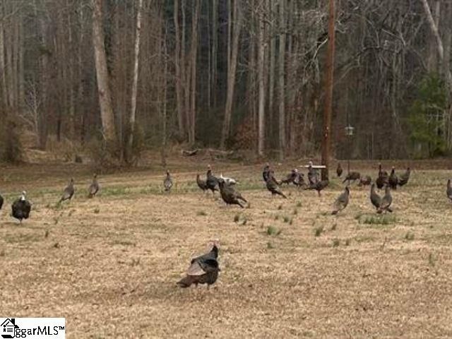 303 Horse Creek Road, Chesnee, SC 29323