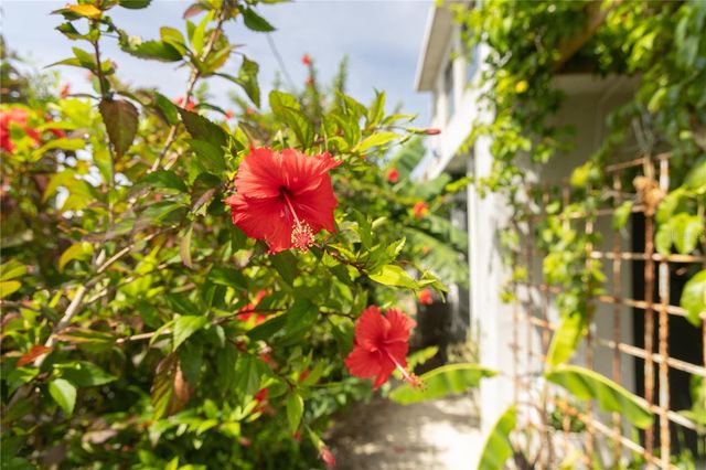 536 BRAVOS DE BOSTON, Vieques, PR 00765