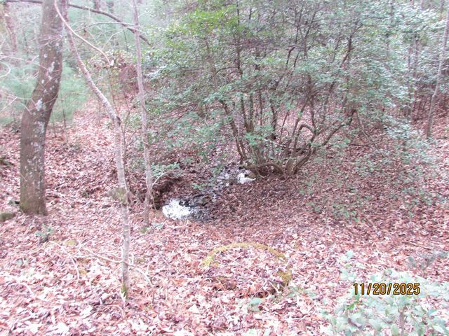 198 Big Rock Drive, Hayesville, NC 28904