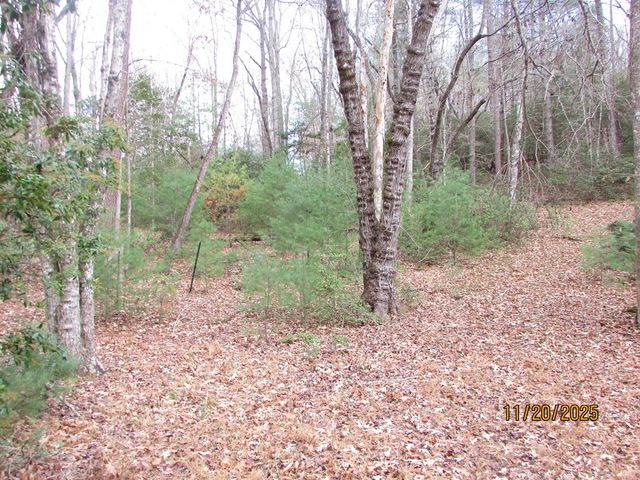 198 Big Rock Drive, Hayesville, NC 28904