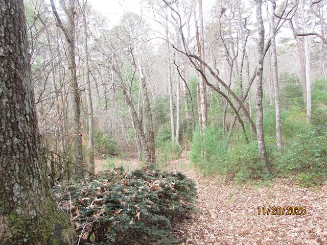 198 Big Rock Drive, Hayesville, NC 28904