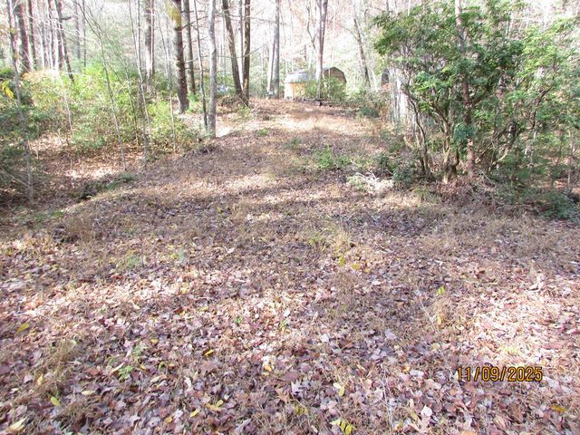 198 Big Rock Drive, Hayesville, NC 28904