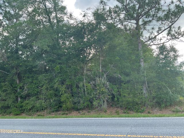 0 Lakepoint Road, Alford, FL 32420