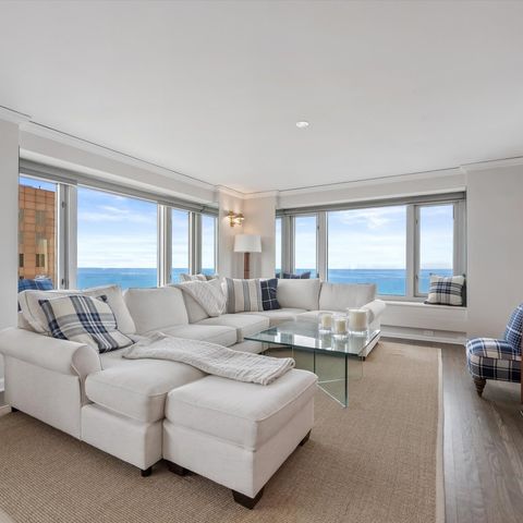 132 E Delaware Place 5106, Chicago, IL 60611