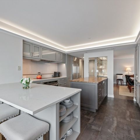 132 E Delaware Place 5106, Chicago, IL 60611