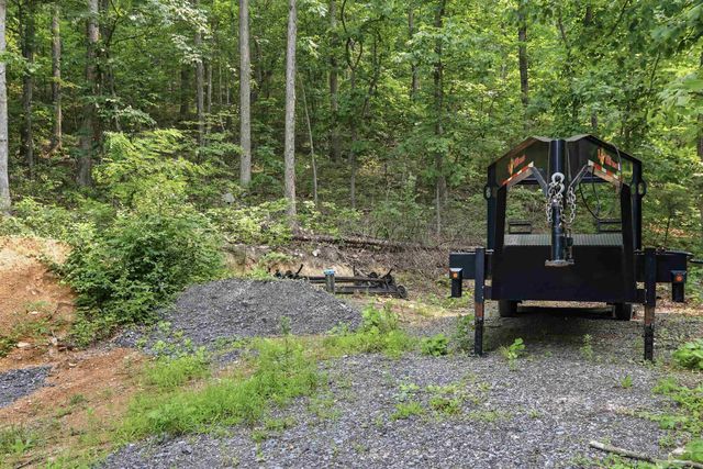 4111 MORELAND GAP RD, New Market, VA 22844