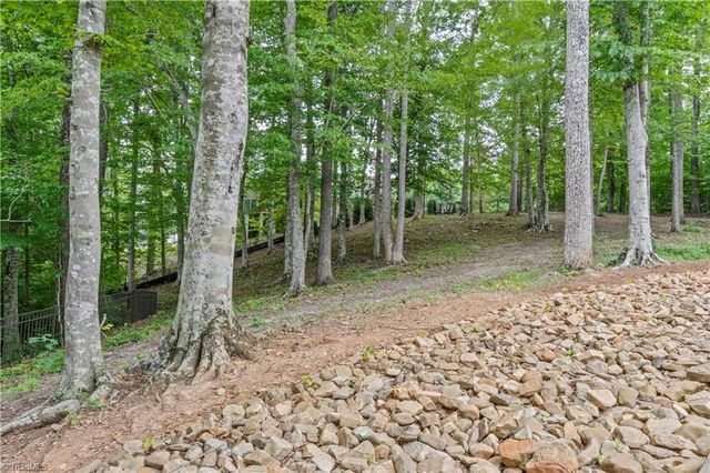 9509 Lissara Camp Court, Lewisville, NC 27023
