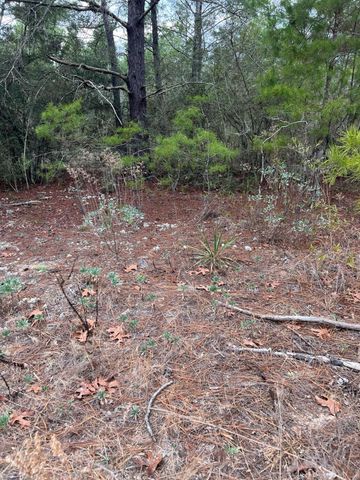 lot 17 Coventry Road, Defuniak Springs, FL 32433