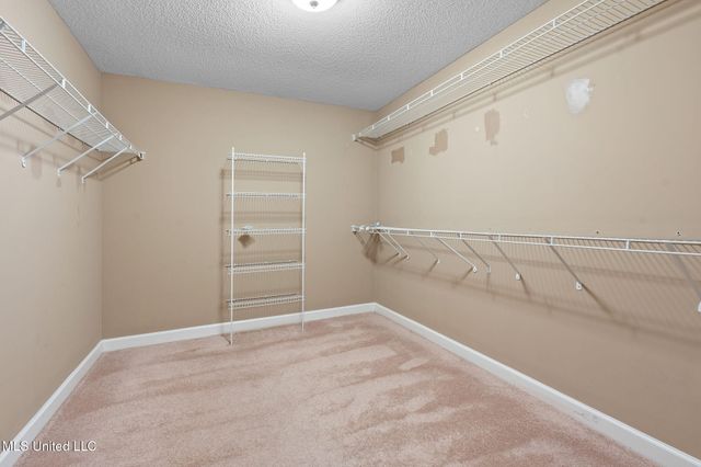 9073 Lyon Cove, Olive Branch, MS 38654