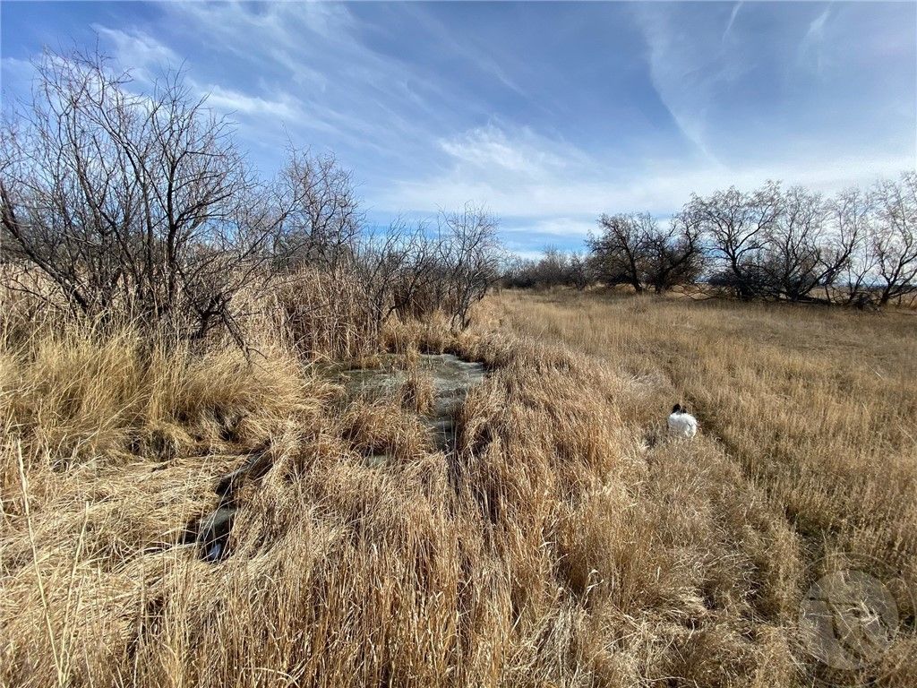 6419 LOT 6A Olive Branch Way, Billings, MT 59106 photo 10