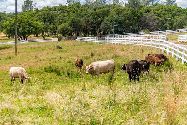 20945 Bear Hollow Rd, Grass Valley, CA 95949