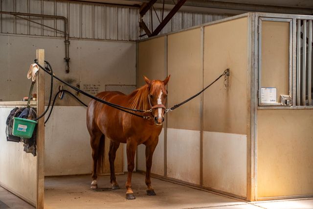 20945 Bear Hollow Rd, Grass Valley, CA 95949