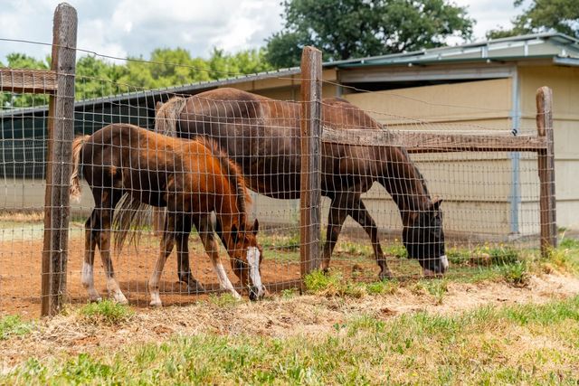 20945 Bear Hollow Rd, Grass Valley, CA 95949