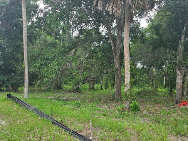 180 OAK DRIVE, Osteen, FL 32764