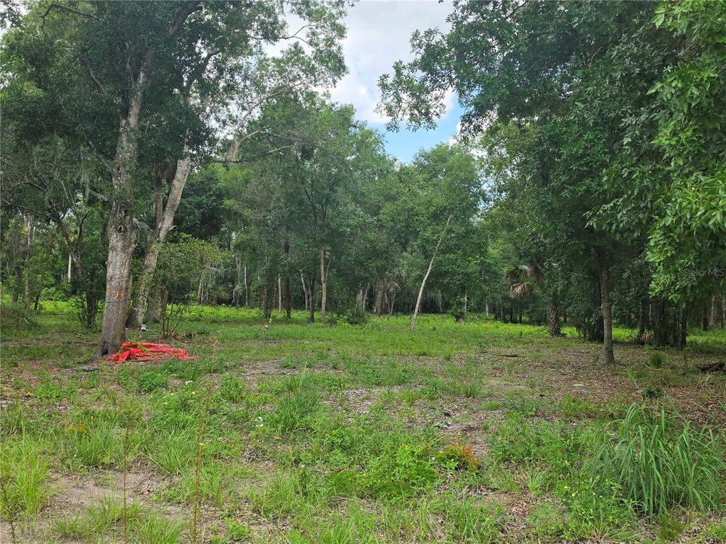 180 OAK DRIVE, Osteen, FL 32764