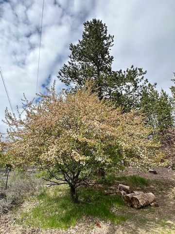 16506 Sprague Loop, La Pine, OR 97739