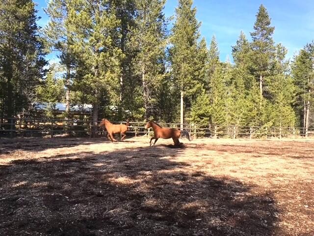 16506 Sprague Loop, La Pine, OR 97739