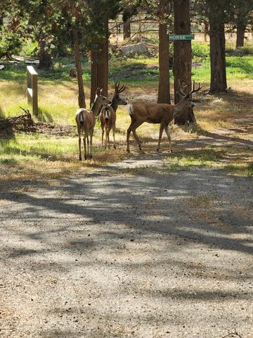 16506 Sprague Loop, La Pine, OR 97739