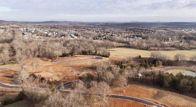 1540 Divine Court, Arrington, TN 37014