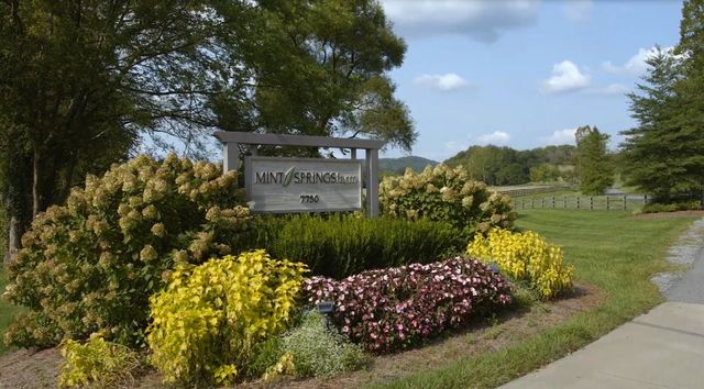 1540 Divine Court, Arrington, TN 37014